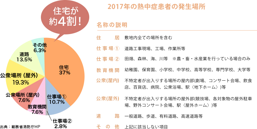 2017年の熱中症患者の発生場所 