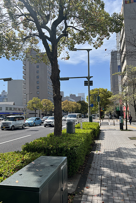 ヤマト住建　姫路店へのアクセス