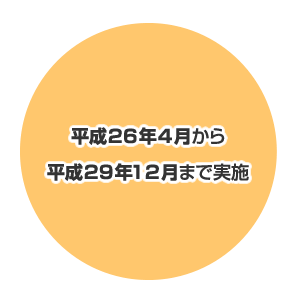 平成２６年４月から平成２９年１２月まで実施